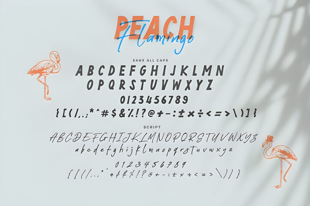 Peach Flamingo Fonts free download