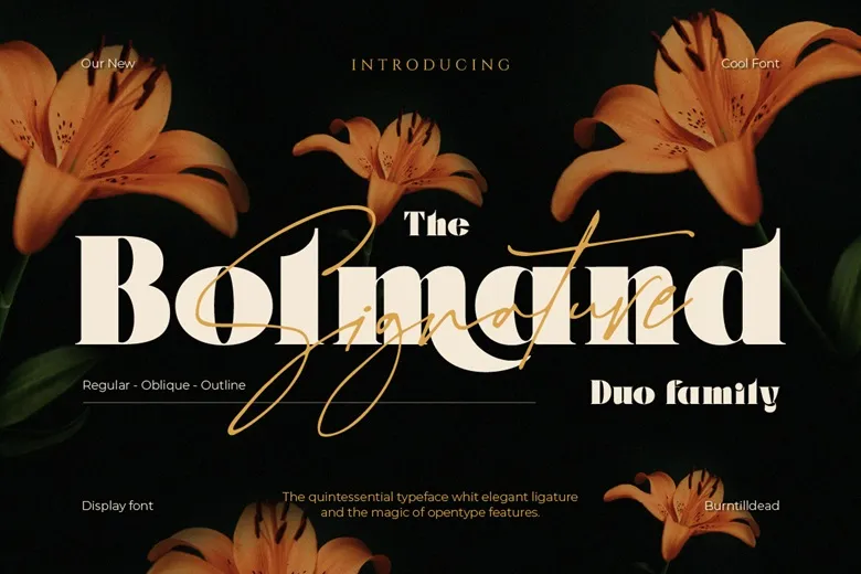Bolmand Signature Font