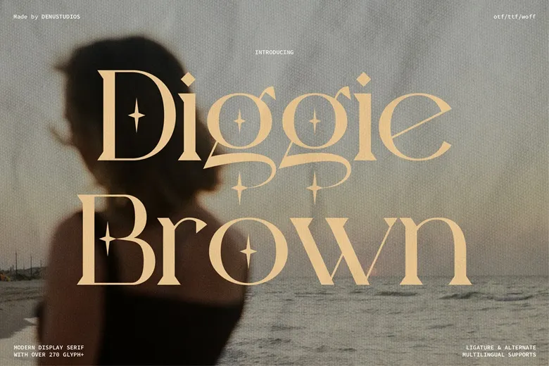 Diggie-Brown-Fonts