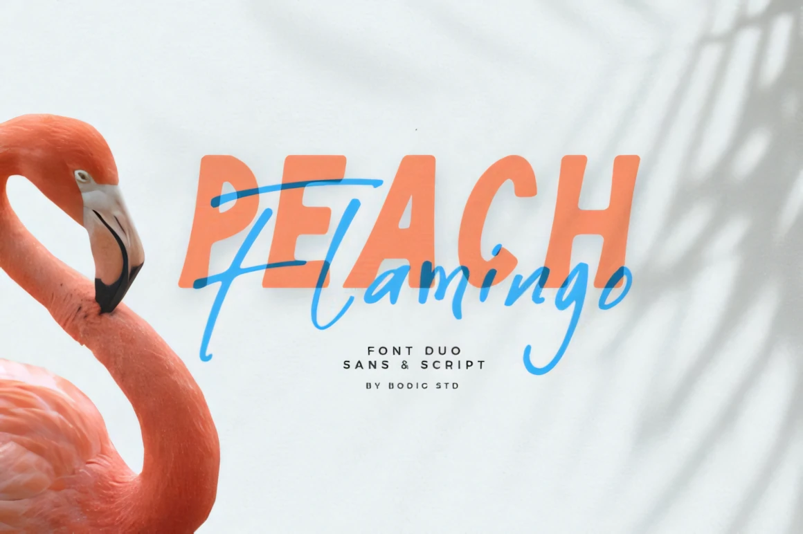 Peach Flamingo Font Duo