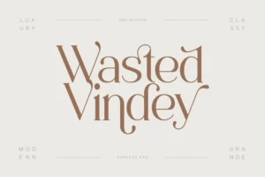 Wasted Vindey Font