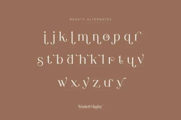 Wasted Vindey Font