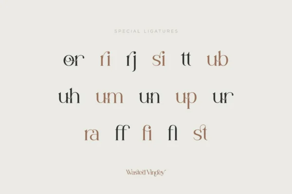 Wasted Vindey Font