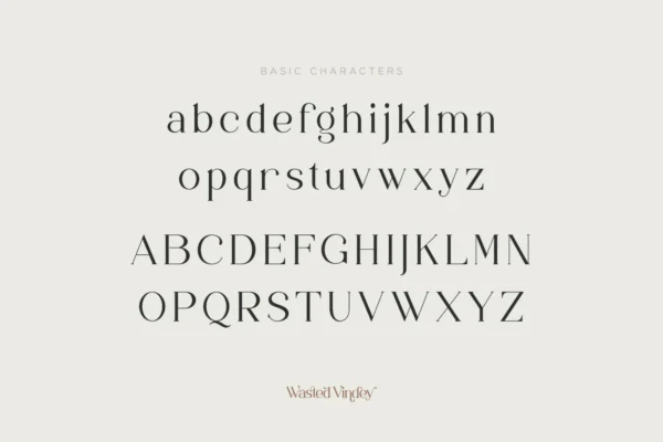 Wasted Vindey Font
