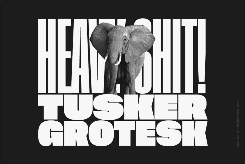 Tusker Grotesk Font