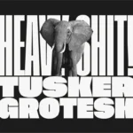 Tusker Grotesk Font