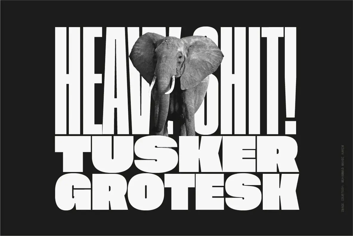 Tusker Grotesk Font
