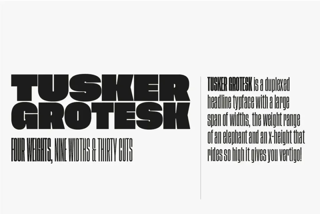 Tusker Grotesk Font